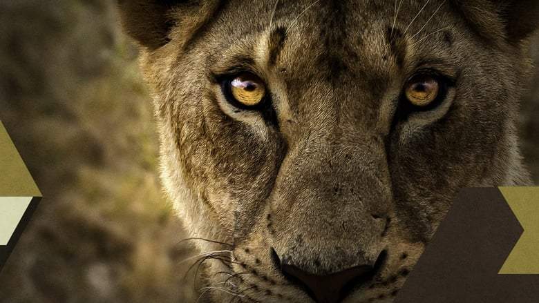 Malika The Lion Queen (2021)