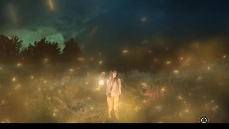 The Girl, The Hunter & The Firefly (2024)