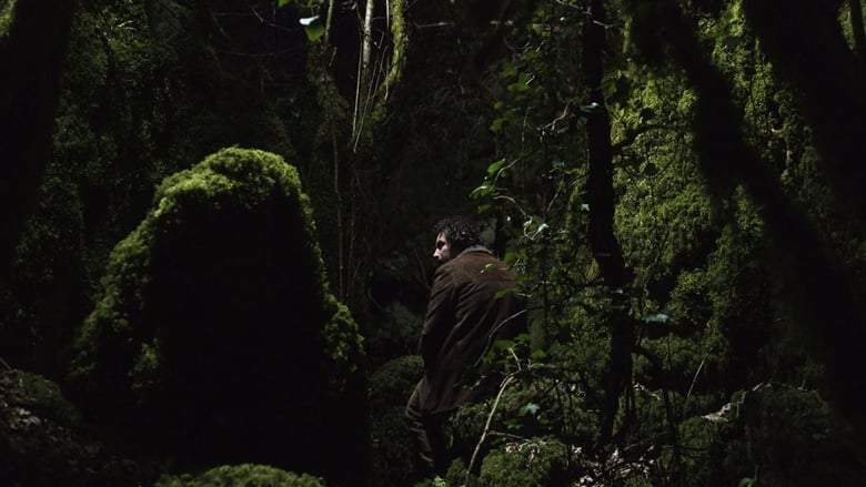 Endless Night (2019)