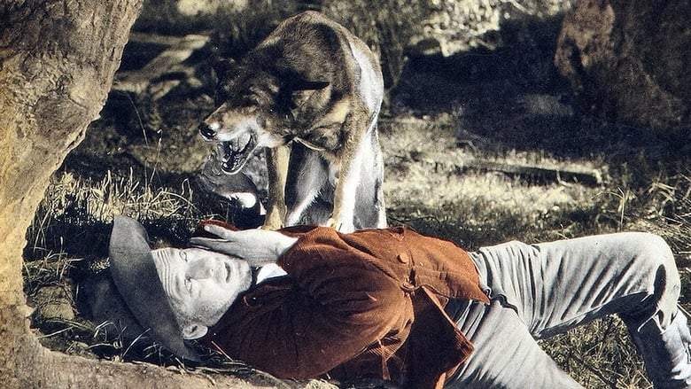 Hills Of Kentucky (1927)
