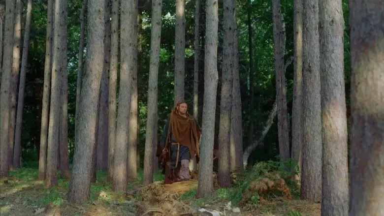 Vikings: Journey To New Worlds (2004)