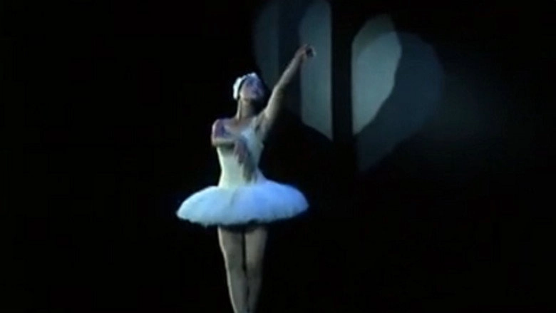 The Moon In The Foreign Land (2007)