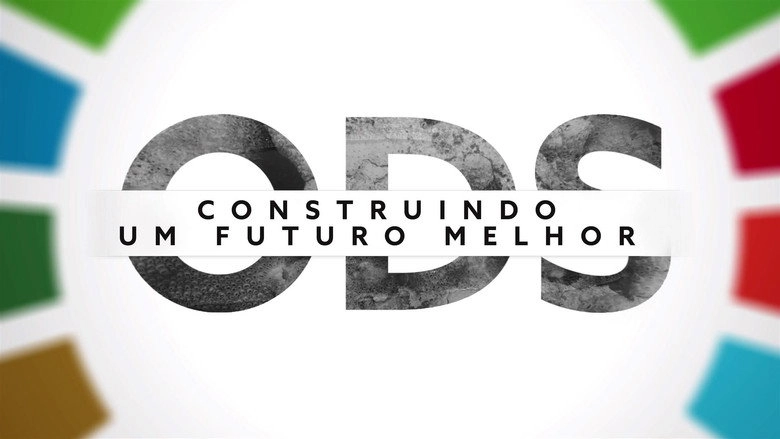 ODS - Construindo Um Futuro Melhor (2013)