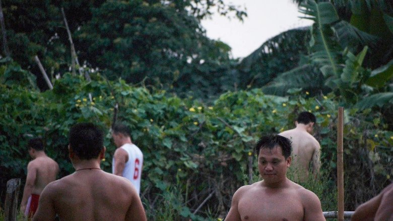 After Reality (2013)