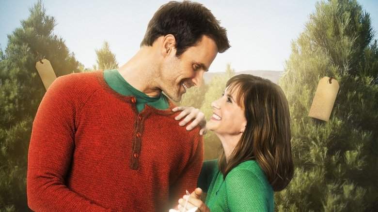 The Christmas Ornament (2013)