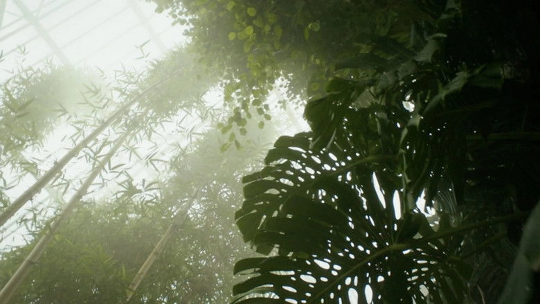 Paradise Lost? (2015)