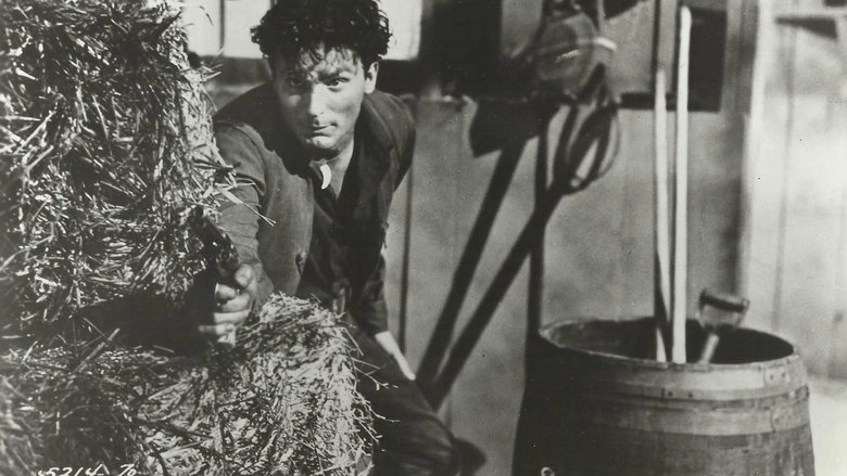 Son Of Belle Starr (1953)