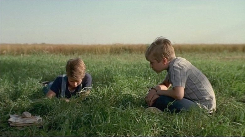The Nature Of Nicholas (2002)