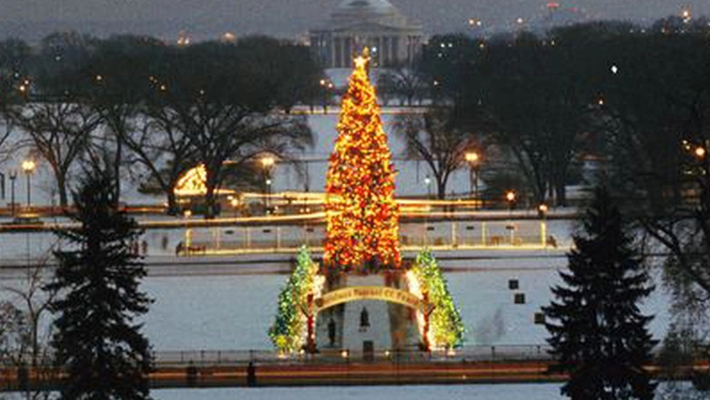 The National Christmas Tree, A Century Of Celebration (2024)