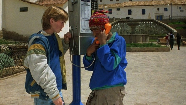 Max Is Missing (1995)