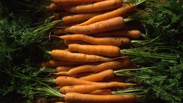 Onychophagy (2018)