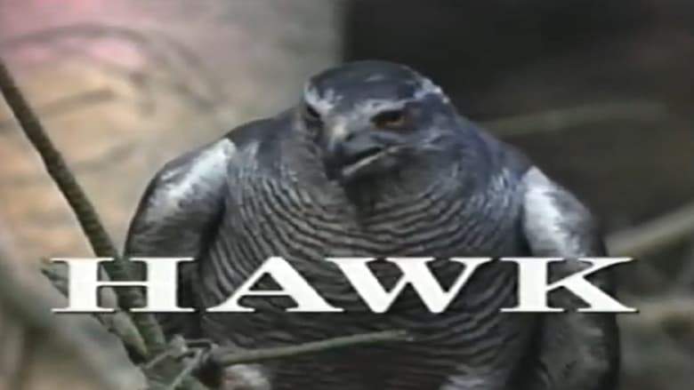 Predators Of The Wild: Hawk (1993)