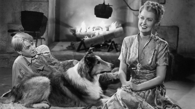 The Sun Comes Up (1949)