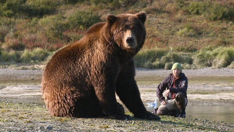 Bear-Like (2019)