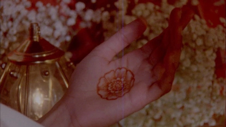 What Does It Feel Like To Live Inside A Pomegranate? (2026)