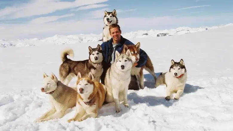 Eight Below (2006)