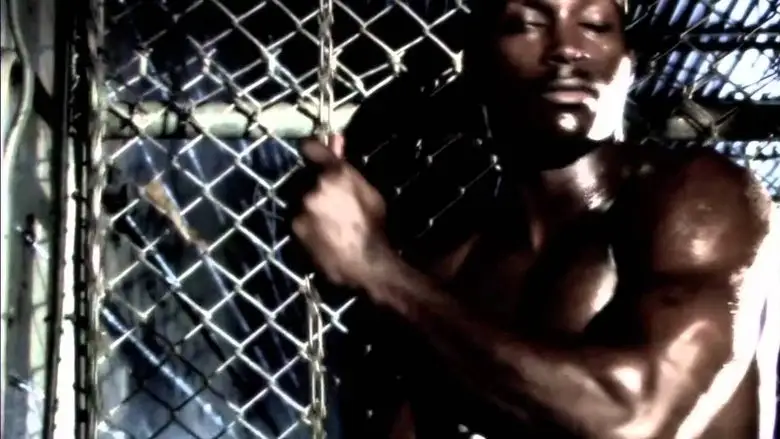 Vale Tudo Project (2009)