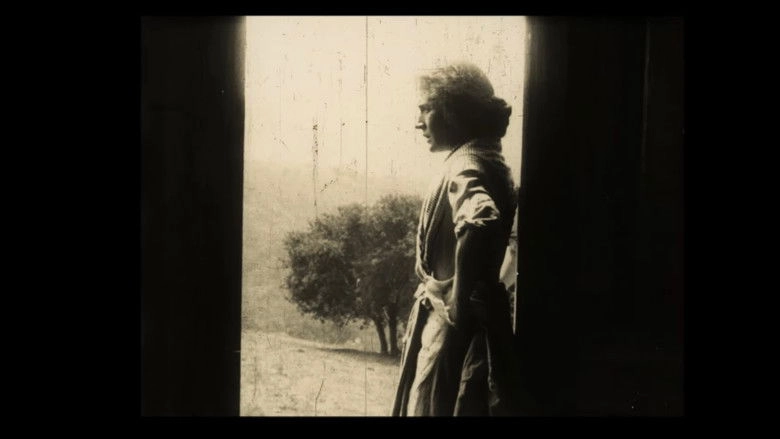 The Thief's Wife (1912)