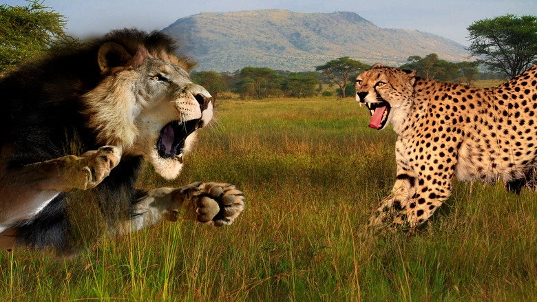 Cat Wars: Lion Vs. Cheetah (2011)