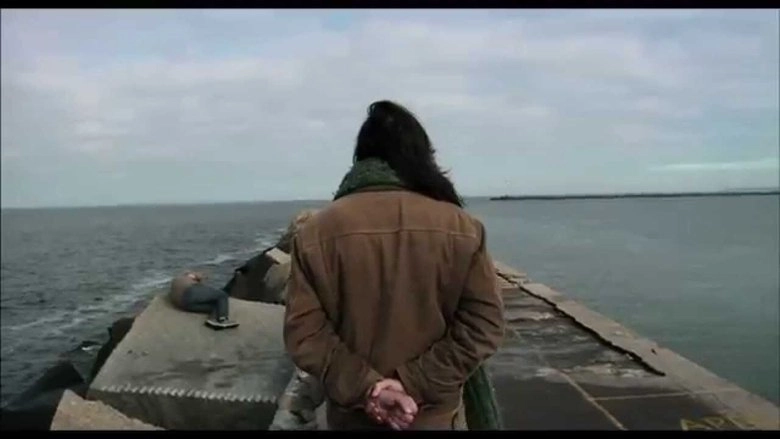 Dromedario No Asfalto (2014)