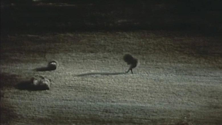 Dejeuner Du Matin (1974)