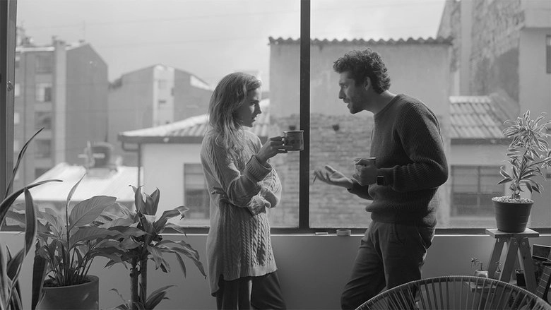 The Subtitles (2024)