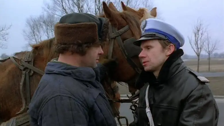 Teddy Bear (1981)