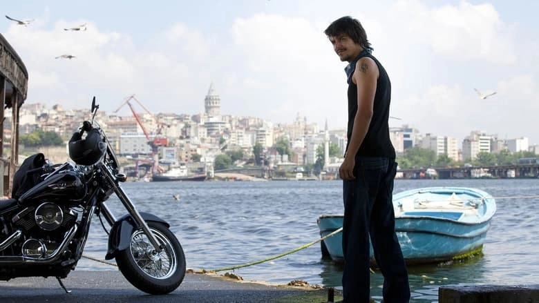 Love Likes Coincidences (2011)