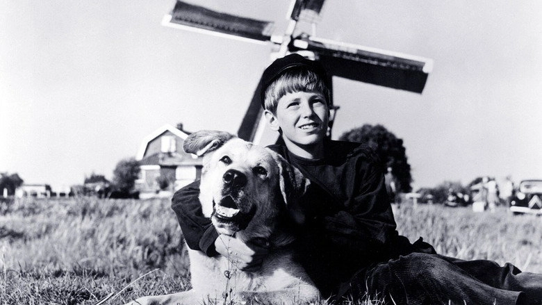 A Dog Of Flanders (1959)