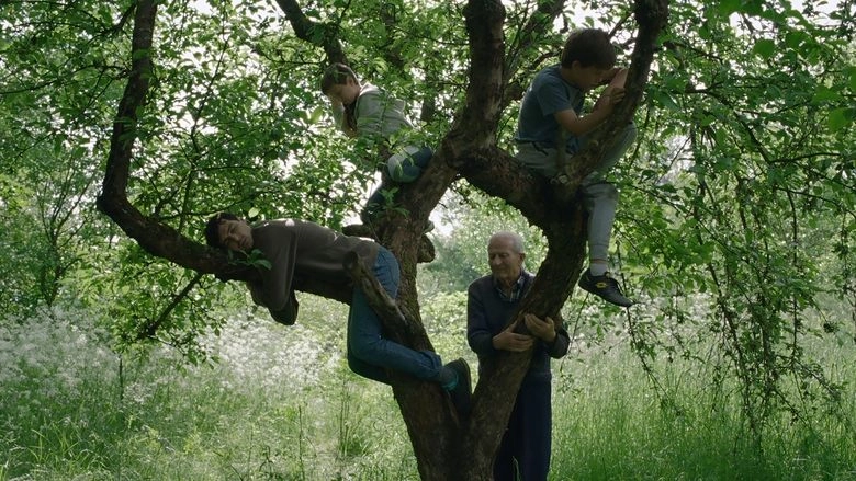 Vetre, Pricaj Sa Mnom (2025)