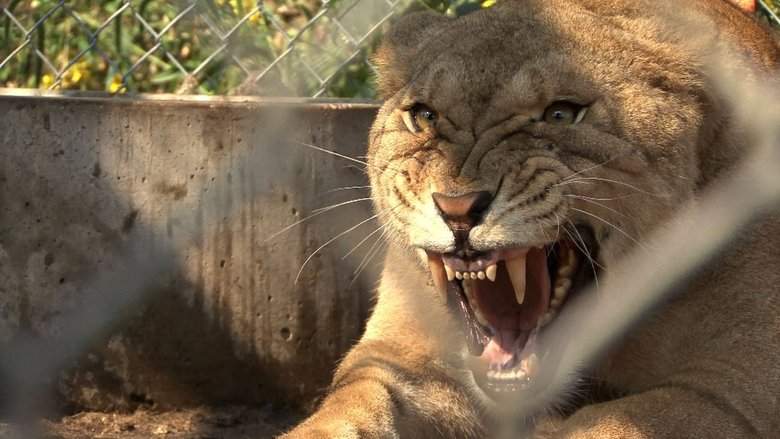 The Elephant In The Living Room (2010)