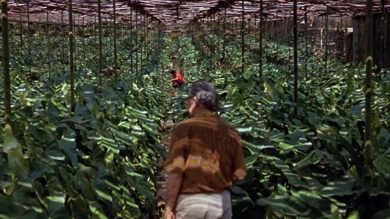 Landscape Film, Roberto Burle Marx (2018)
