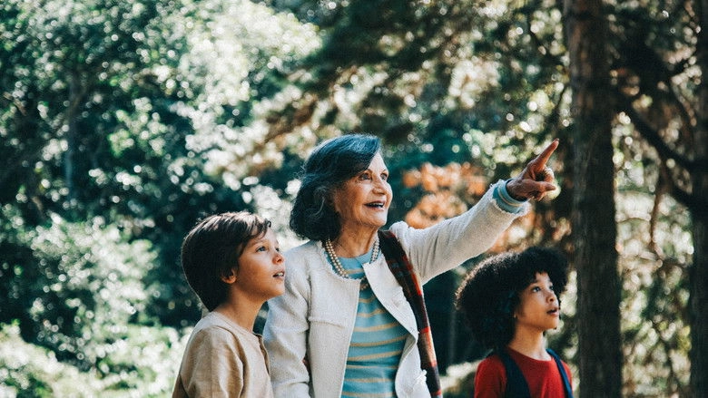 E Tempo De Amoras (2026)