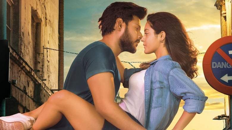 Ninnu Veedani Needanu Nene (2019)