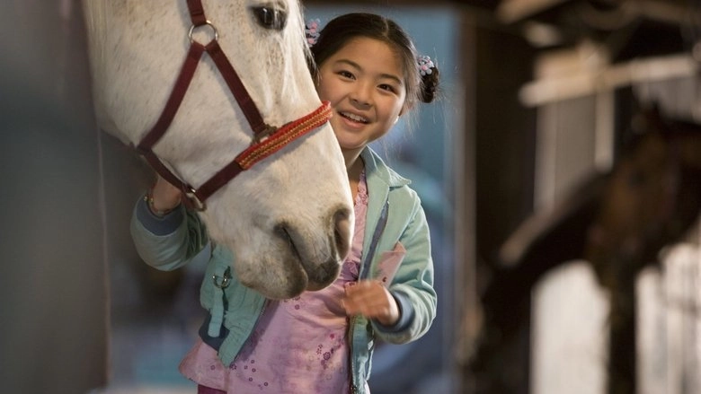 Waar Is Het Paard Van Sinterklaas? (2007)