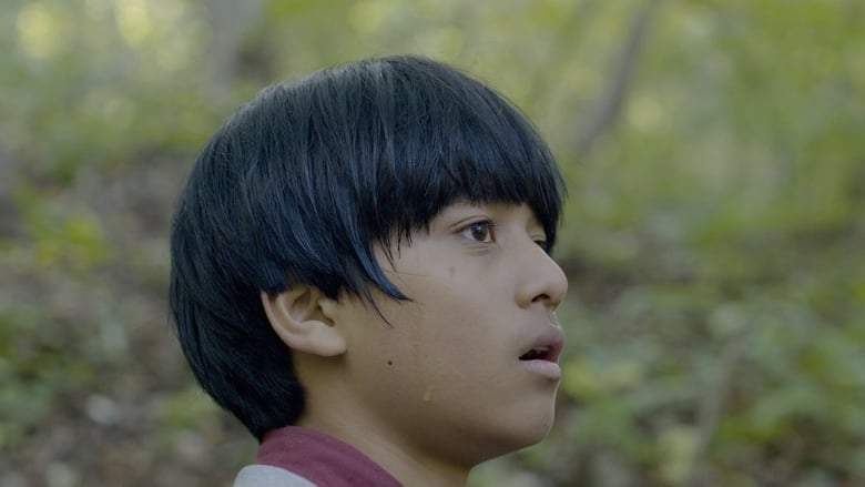 Night Light (2021)