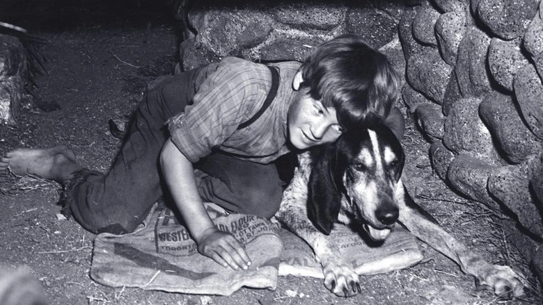 A Boy And His Dog (1946)