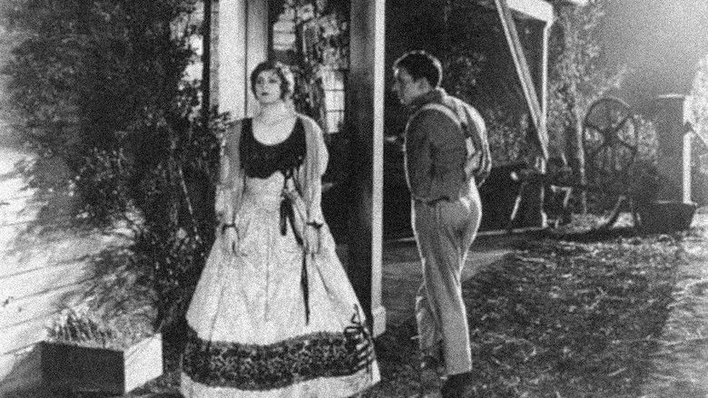 The Fighting Brothers (1919)