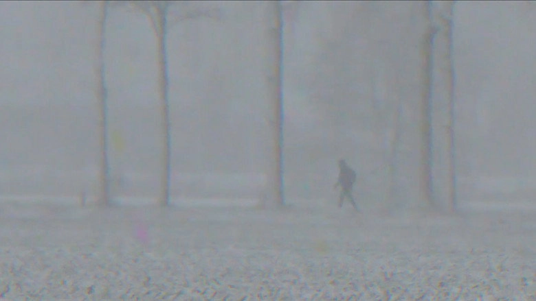 Midwinter Hue (2017)