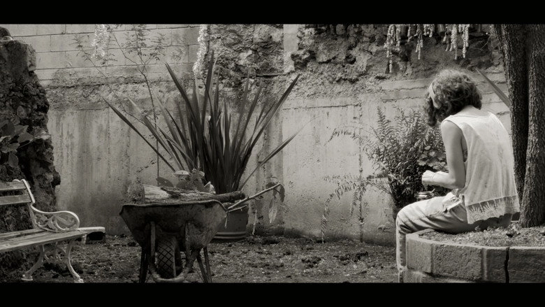 Anormales (2024)