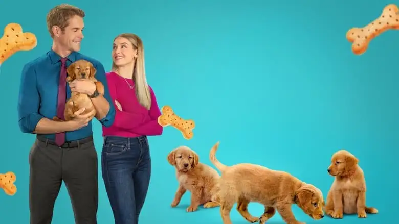 Everything Puppies (2024)