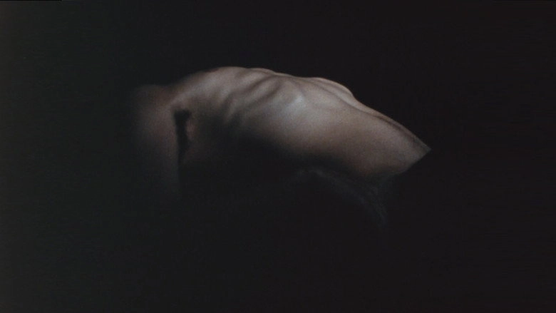 The Malady Of Death (1994)
