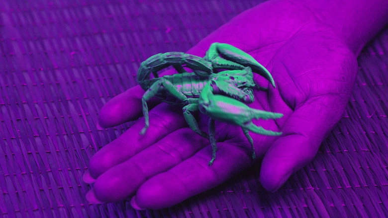 Ultraviolet (2018)