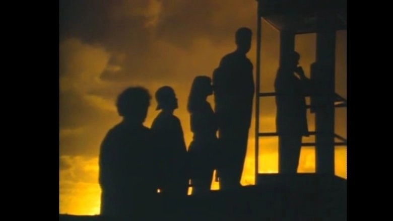 Mr. Petrified Forrest (1992)