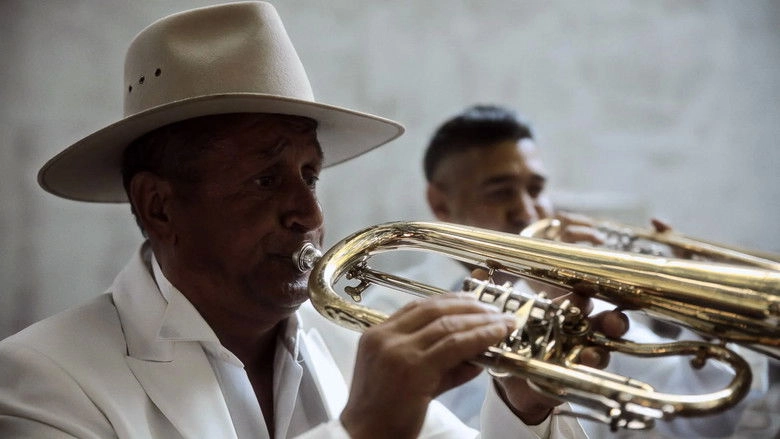 Nasledje Kralja Trube (2024)