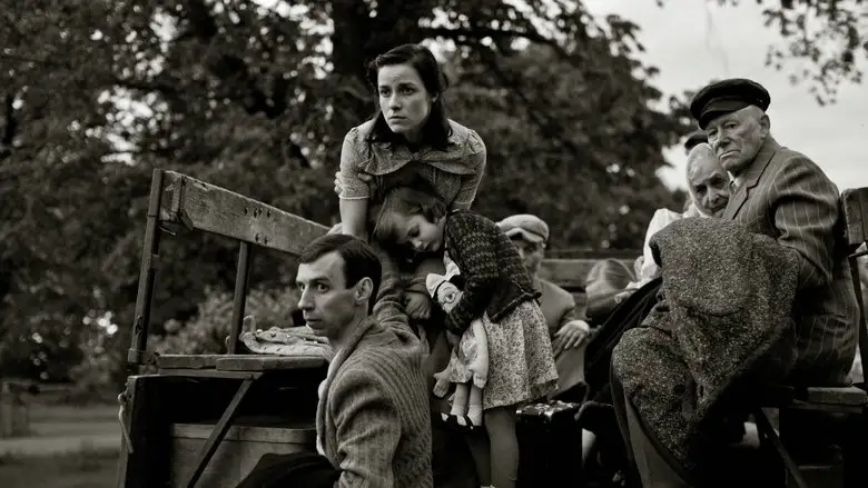 In The Crosswind (2014)