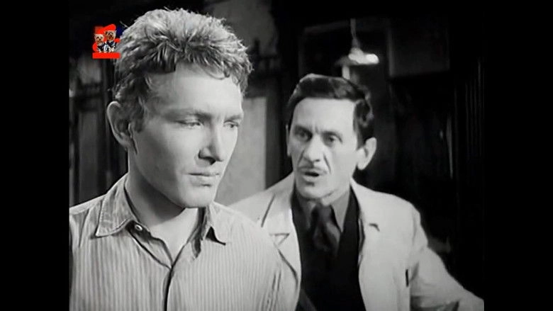 Namestie Svatej Alzbety (1966)