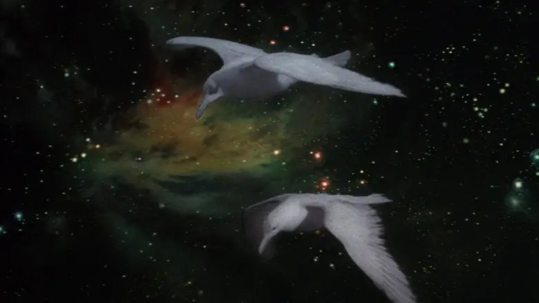 Jonathan Livingston Seagull (1973)