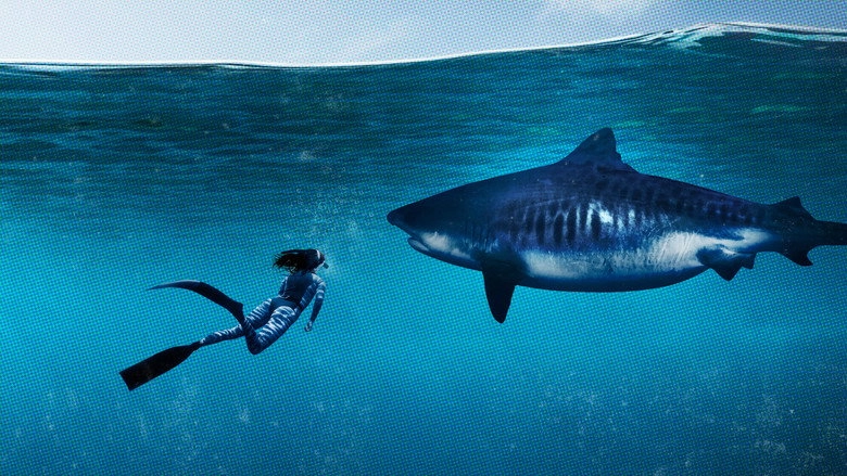 World's Biggest Tiger Shark (2020)