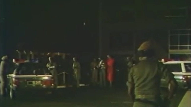Le Singe Fou (1986)